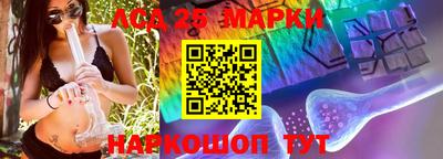 молекула духа Ярцево