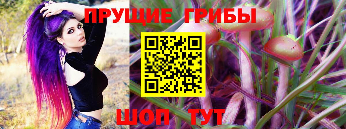 Галлюциногенные грибы GOLDEN TEACHER Аргун